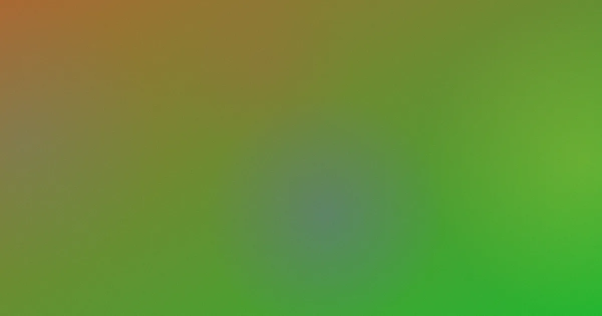 罗马避坑：这些钱别白花